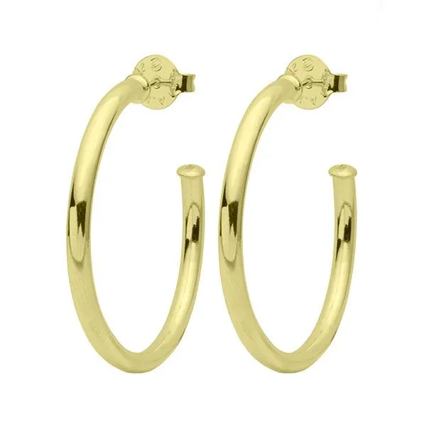 2 Small Polished Gold Earrings