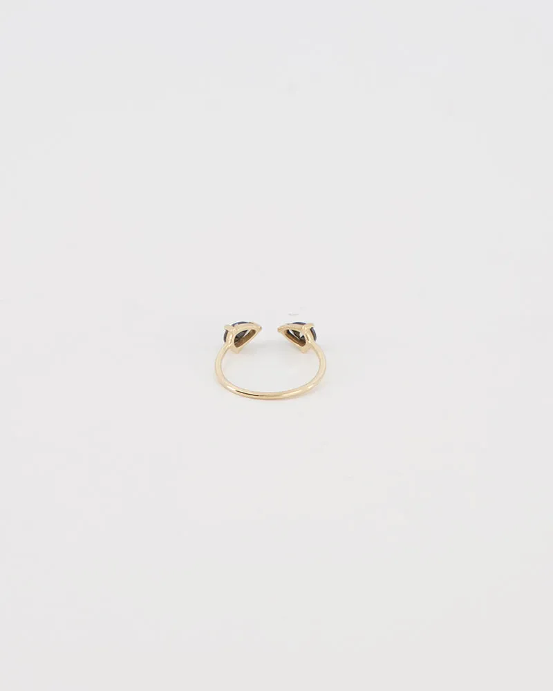 Gold & Gold-Vermeil black onyx  ring / DOUBLE SIDED